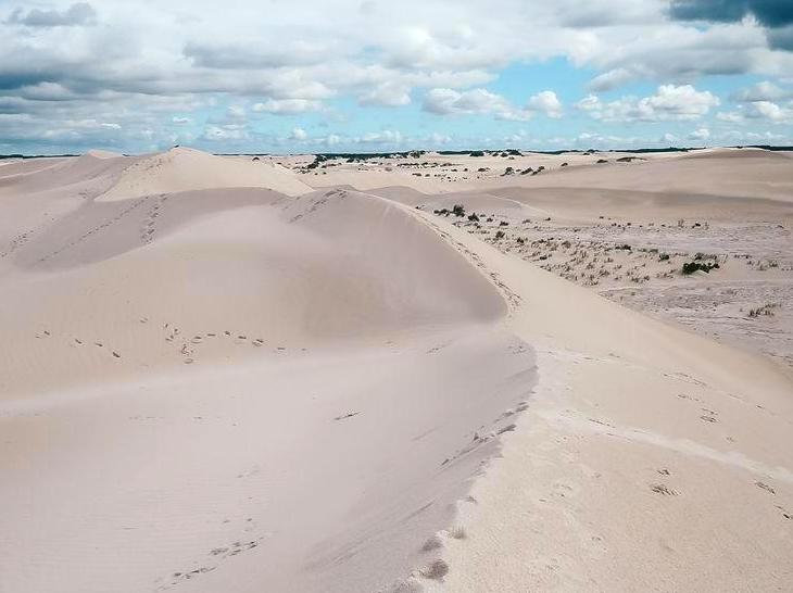 myschoolnotebook | Sandboarding at Lancelin Sand Dunes: A Guide