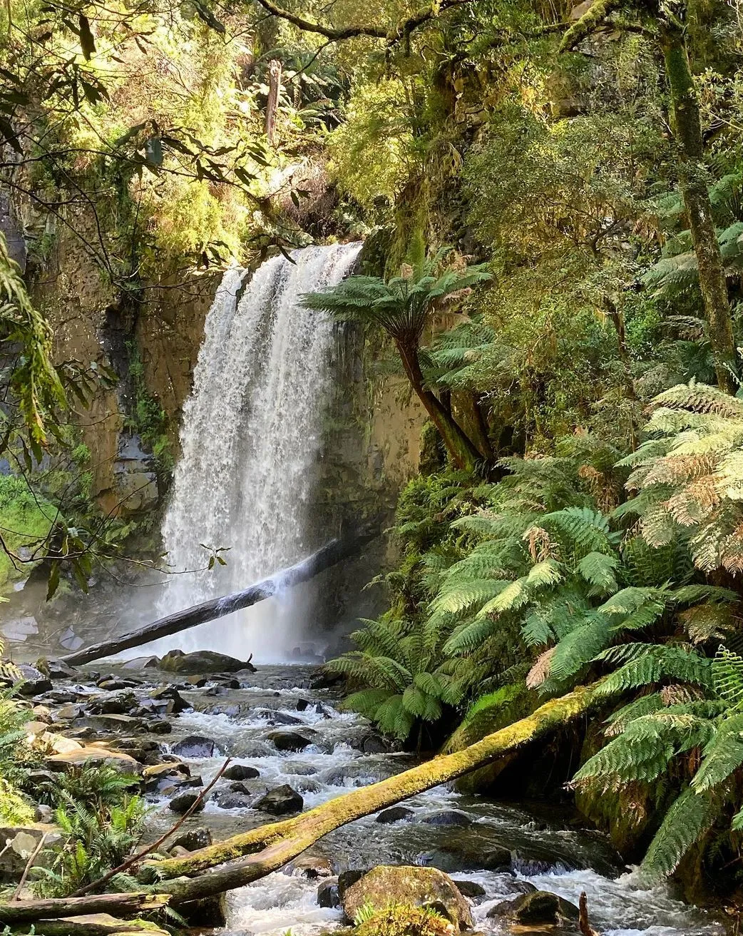 myschoolnotebook|Budget-Friendly Great Ocean Road Trip Guide